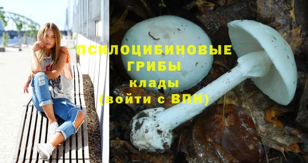 гашик Белокуриха