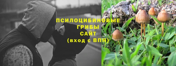 гашик Белокуриха